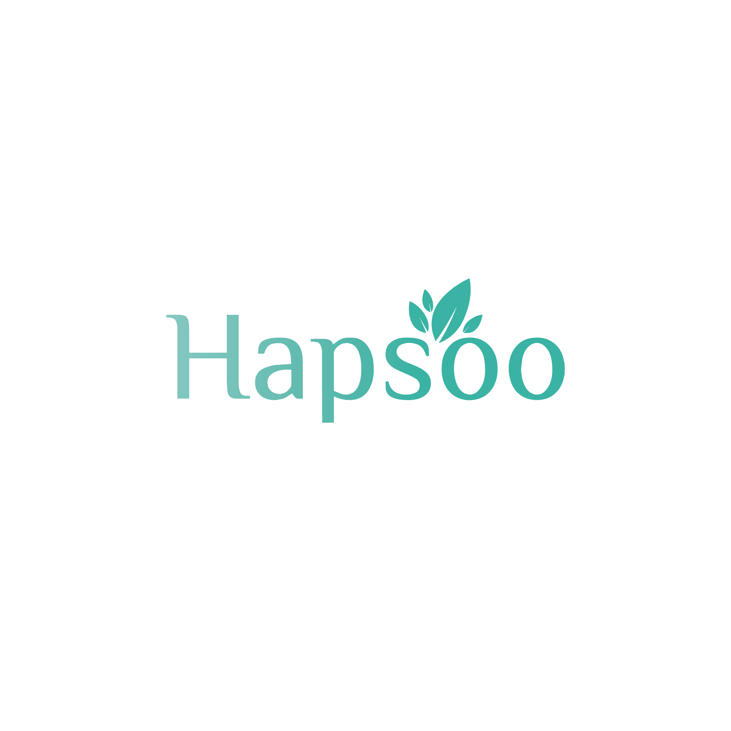 New Profil IG Hapsoo (02) - Hapsoo HS